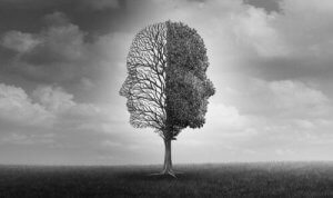 Harald Schultz-Hencke: een dissidente psychoanalyst