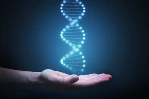 Heeft het DNA ook invloed