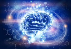 Enkefaline: een pijnstillende neurotransmitter