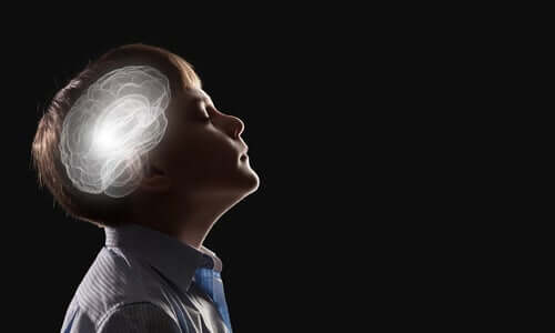 De neurobiologie van de intuïtie