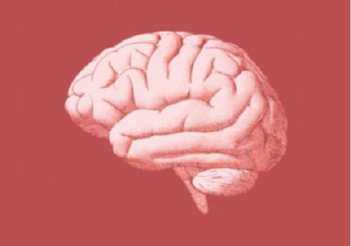 De neurobiologie van verslaving tijdens de anticipatiefase