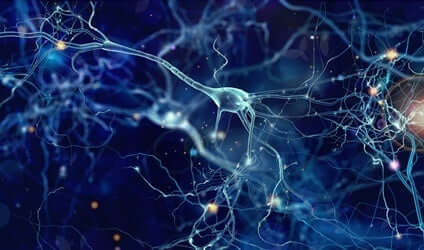 Een afbeelding van neuronen