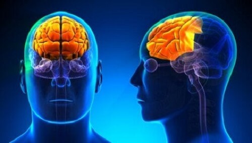 De effecten van alcohol op de hersenen