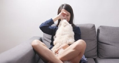 De onvoorwaardelijke liefde van je huisdier