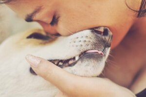 Een hond als huisdier werkt therapeutisch