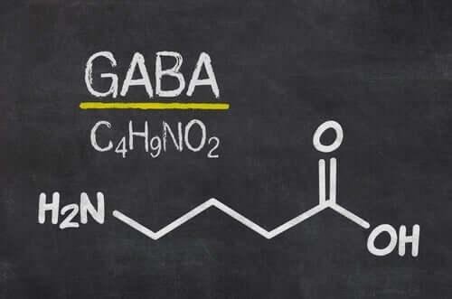 De neurobiologie van teleurstelling en GABA