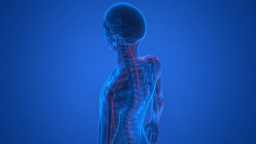 Grote bijdragen tot de geneeskunde