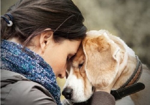 Huisdieren geven jou emotionele bevestiging