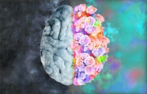 Neuro-esthetica, ontmoeting tussen neurologie en kunst