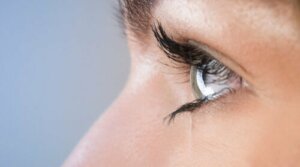 PTSS genezen met EMDR-therapie en mindfulness