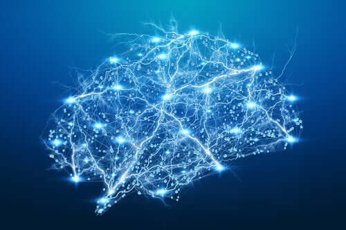 Doorbraken in de neuropsychologische revalidatie