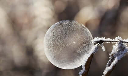 Een ijsbubbel op een tak