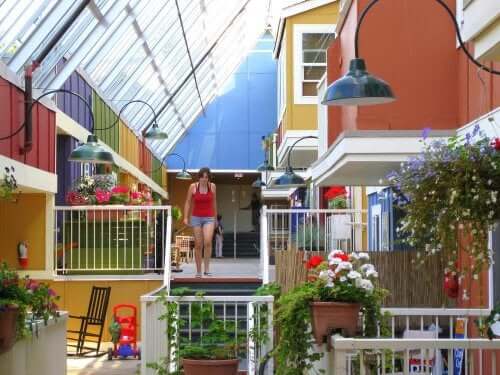 Een cohousing gemeenschap met veel planten