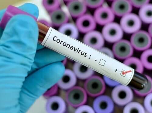 Het coronavirus