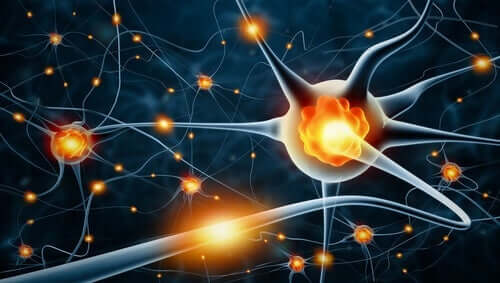 Een afbeelding van de neurale netwerken