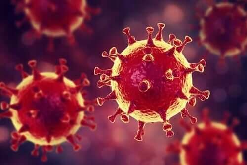 Psychologisch advies over het coronavirus