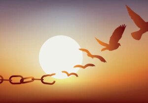 Wat is precies de functie van borgtocht?