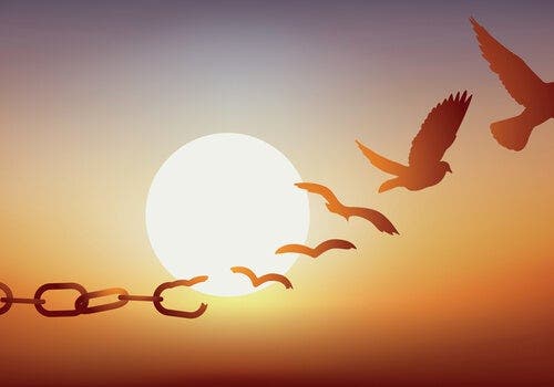 Wat is precies de functie van borgtocht?