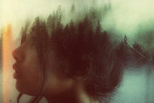 Een vrouw met de reflectie van een bos over haar hoofd