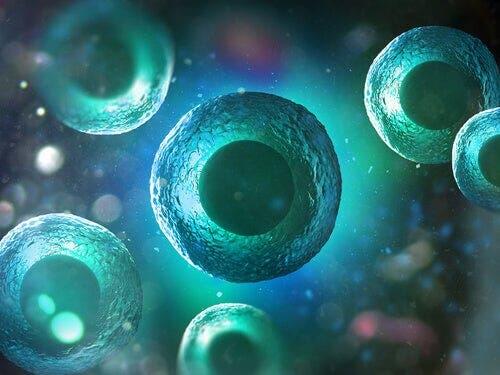 Cellen in het lichaam