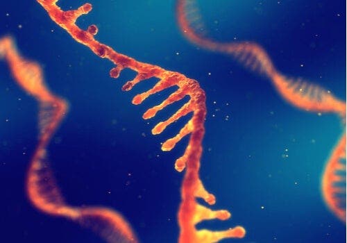 RNA in het lichaam