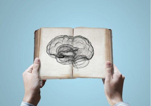 Neurowetenschap: de erfelijkheid van kennis