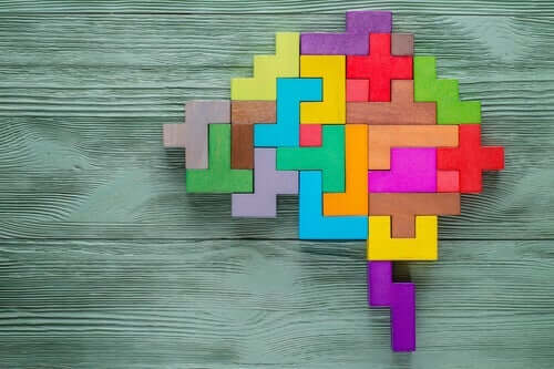Wat zegt de neurowetenschap