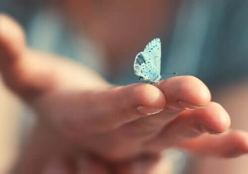 Je kunt veranderen zoals een vlinder dat doet