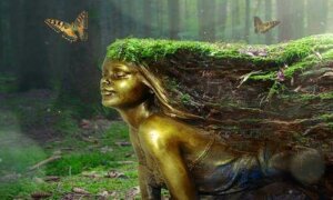 Gezond verstand is niet altijd vanzelfsprekend