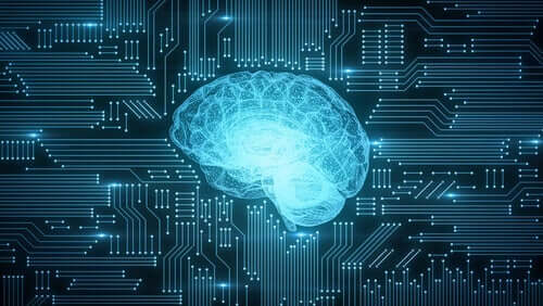 Hoe digitalisering de hersenen beïnvloedt