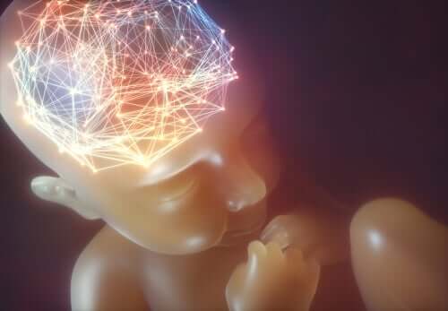 Hoe werkt het brein van een baby