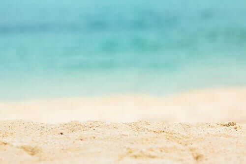 Een strand met de zee op de achtergrond