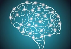 ’s Werelds grootste intelligentie-experiment