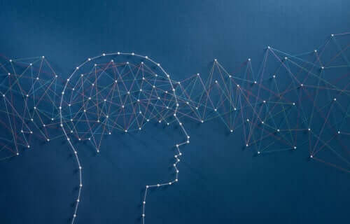 Het grootste intelligentie-experiment ter wereld