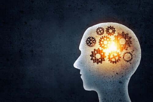 Hoe werken de mechanismen in de hersenen