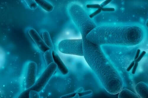 Het X-chromosoom en het 17e chromosoom hebben invloed op deze aandoening