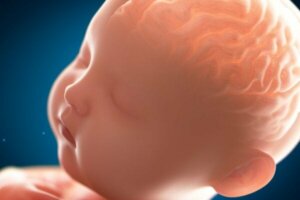 We vertellen je over pachygyrie: het 'gladde' brein