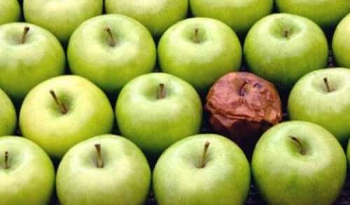 De rotte-appel-theorie op de werkplek