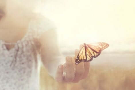 Een vlinder op een hand