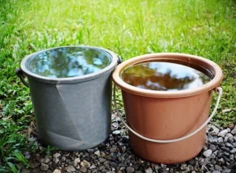 Twee emmers gevuld met water