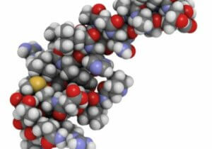 De rol van orexine bij slapen en eten