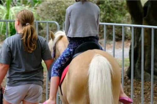 Therapie met paarden: voordelen en toepassingen
