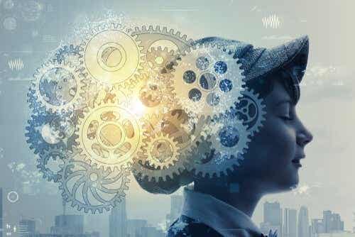 Hoe zithet mechanisme van de hersenen in elkaar