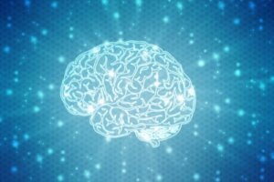 Wat zijn neuromythen precies?