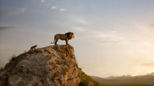 Een wandeling door de tijd: The Lion King