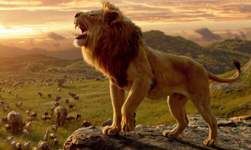 Een afbeelding uit de Lion King remake