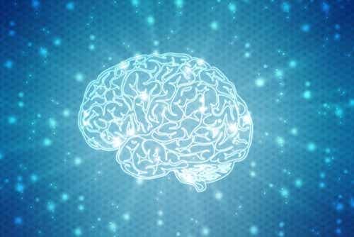 Hoe werkt neuropsychologische revalidatie