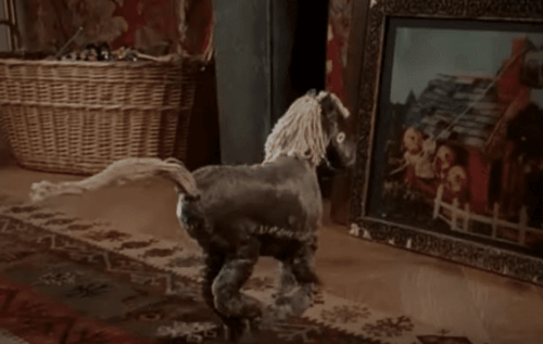 Dagdromen hebben een grote kans om in de toekomst werkelijkheid te worden