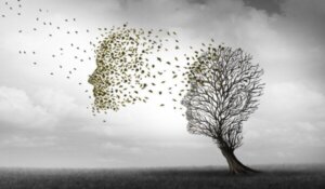 De verschillen tussen de ziekte van Alzheimer en dementie