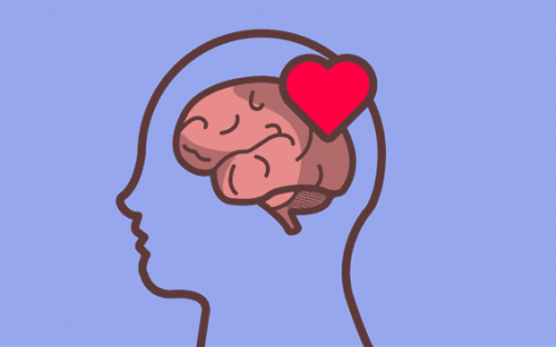 Een tekening van hersenen met een hartje in een omlijning van een hoofd